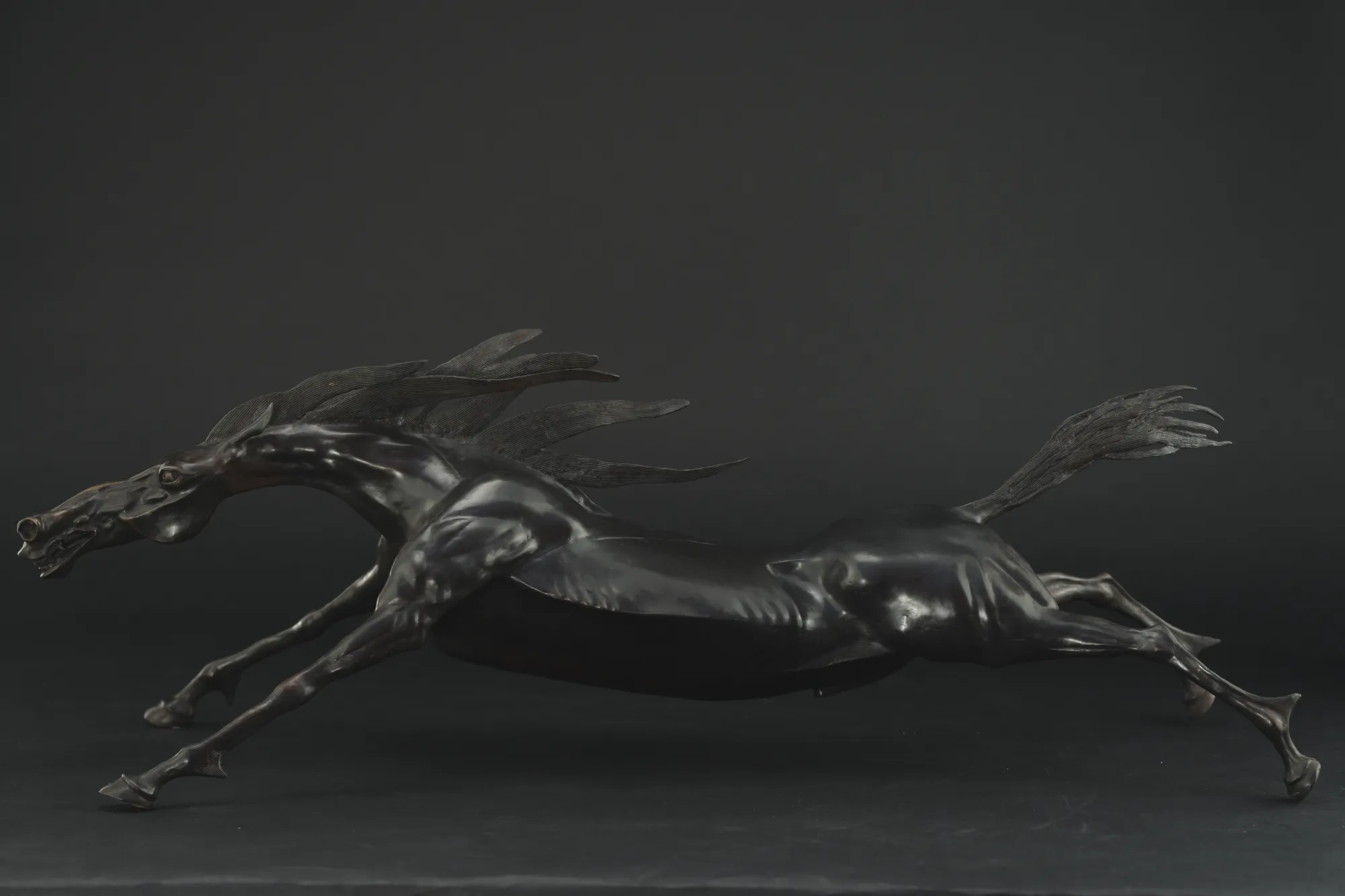 Black Stallion - view 2